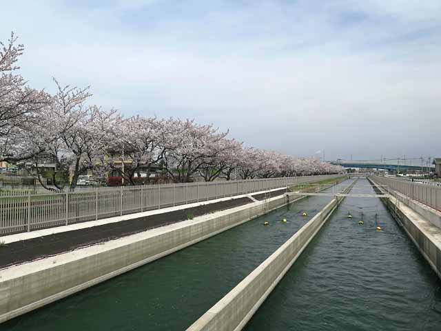 行田市のリフォーム補助金制度について