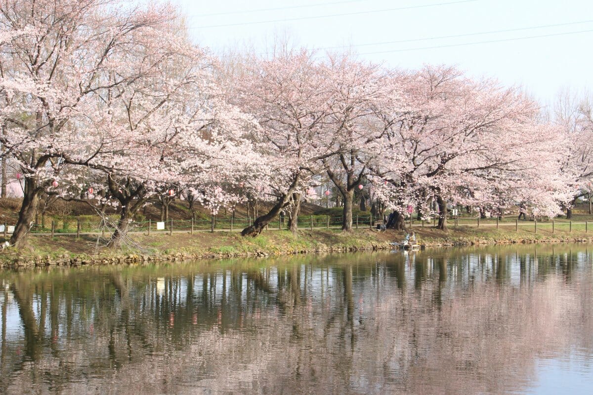 鶴ヶ島で評判のリフォーム会社や鶴ヶ島市の補助金制度を紹介!
