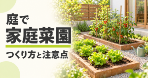 住宅の庭にレンガで囲った菜園を設け、トマトやレタスを育てる様子。「庭で家庭菜園 つくり方と注意点」の文字を配置したサムネイル