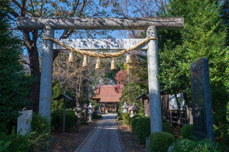 ふじみ野 市 リフォーム