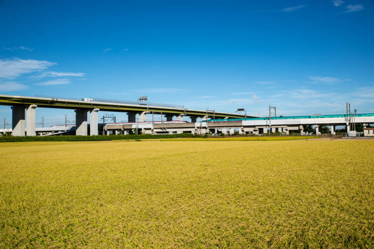 白岡 市 リフォーム