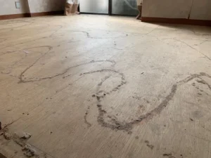 カーペットを撤去した後の、接着剤の跡や下地材の剥がれが見られる下地の写真