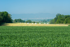 【2026年】江別市のリフォーム補助金・助成金一覧と貰う方法!