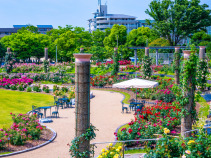 【2025年】茨木市のリフォーム補助金・助成金一覧と貰う方法!