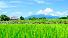 【2026年】北杜市のリフォーム補助金・助成金一覧と貰う方法！