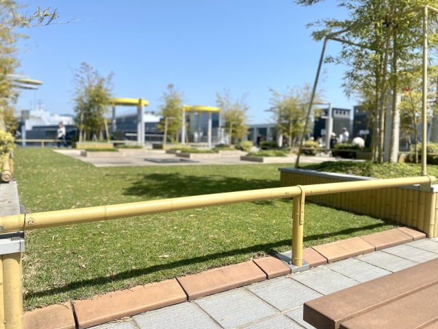 屋上庭園の芝生