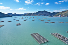 【2026年】備前市のリフォーム補助金・助成金一覧と貰う方法！