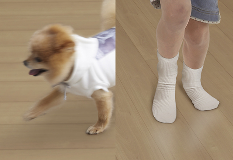 小型犬にも優しいラシッサDフロア