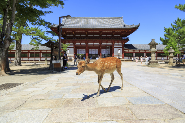 奈良県