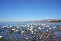 【2025年】福島県のリフォーム補助金・助成金一覧と貰う方法!