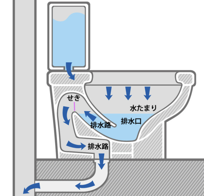 トイレ内部の排水構造を示した断面図。タンクからの水が便器内の「水たまり」へ流れ込み、汚水が「排水口」から「せき」を越えてサイフォン現象により「排水路」へと吸い込まれ、床下の排水管へと流れていく仕組みを青い矢印で解説している。悪臭を防ぐ封水の役割も視覚的に示されている。
