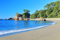 【2026年】高知県のリフォーム補助金・助成金一覧と貰う方法!