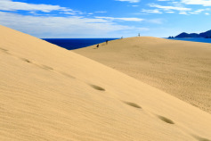 【2025年】鳥取県のリフォーム補助金・助成金一覧と貰う方法！