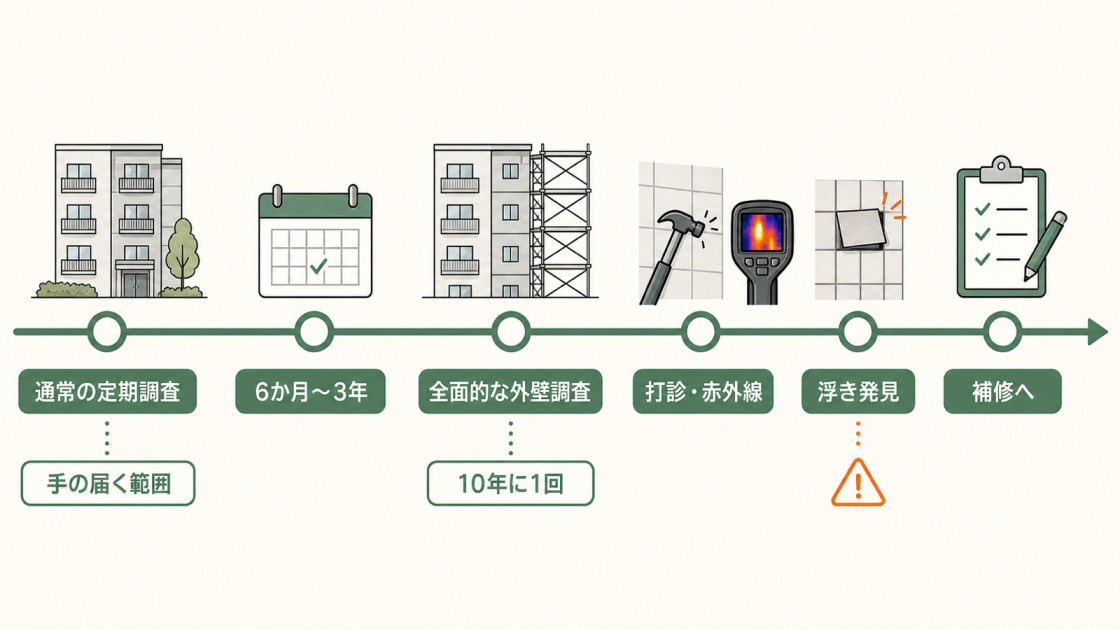 マンション外壁タイルの通常調査と10年に1回の全面打診・赤外線調査の流れを示す図解