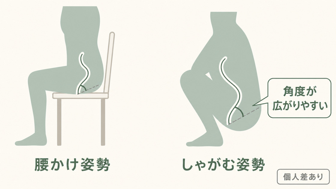 腰かけ姿勢よりしゃがむ姿勢のほうが直腸肛門角が広がりやすいことを示す図（個人差あり）