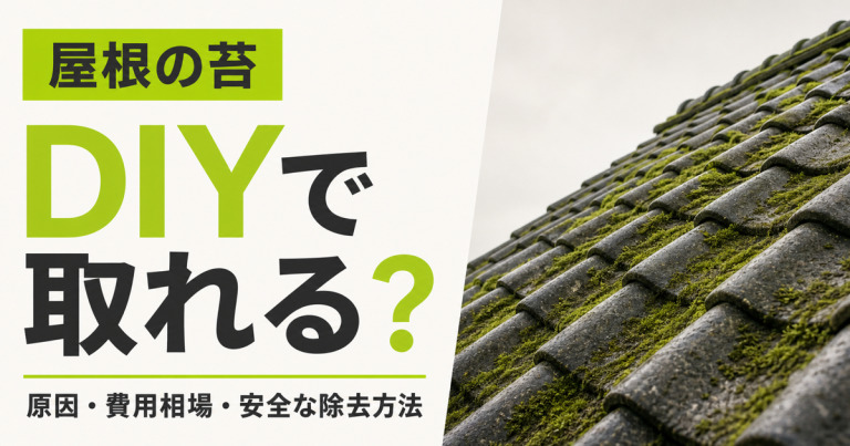 屋根の苔はDIYで取れる？原因や費用相場、安全な除去方法を解説