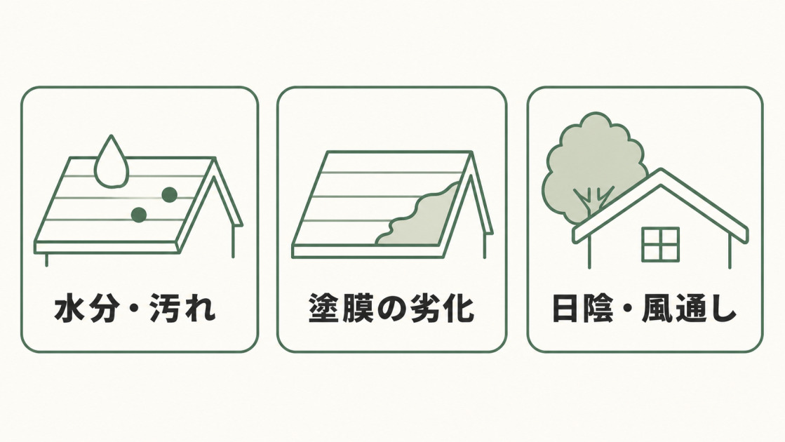 屋根に苔が生えやすい水分や汚れ、塗膜の劣化、日陰や風通しの悪さを示した図解