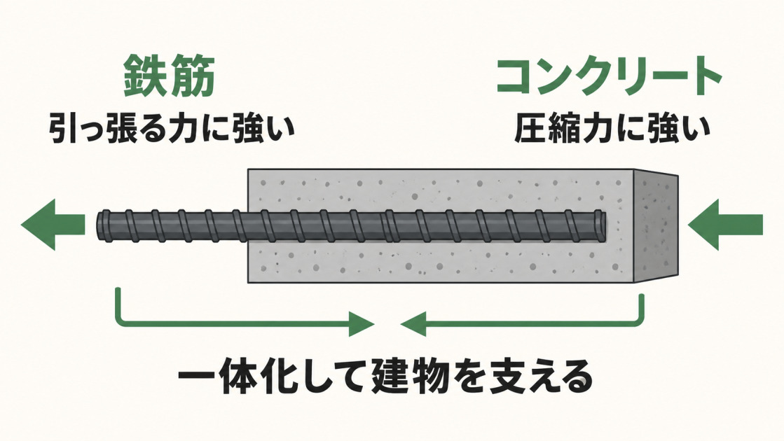 引っ張る力に強い鉄筋と圧縮力に強いコンクリートを一体化し、建物を支える仕組みを示した図