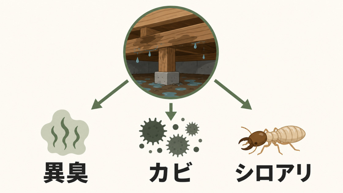 湿った床下から異臭、カビ、シロアリのリスクが広がる様子を示す図解