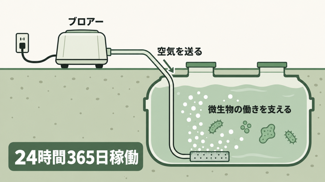 地上のブロアーが配管を通じて浄化槽内へ空気を送り、酸素を必要とする微生物の働きを支える。基本的に24時間365日稼働する。